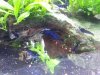 20151220_084745.jpg