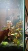 DSC_0148mittel.jpg