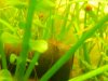 DSCN0588.JPG