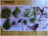 Paket 2.JPG