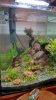 IMG_20160112_203313378_HDR[2].jpg