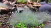 20160118_161953.jpg