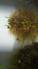 20160127_130008_20160127_131403[1].jpg