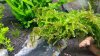 20160123_091445.jpg