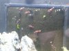 20160127_134829.jpg