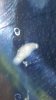 20160129_174143.jpg