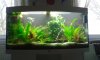 20160129_152023.jpg