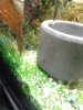 IMG_20160202_223422.jpg
