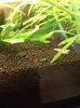 20160205_152254.jpg