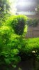 20160212_190141_Burst01.jpg