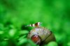 _MG_6732.JPG