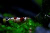 _MG_6744.JPG