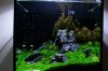 _MG_6746.JPG