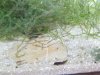 upload_2016-2-24_17-5-30.jpeg