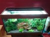 20160301_192932.jpg