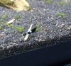 IMG-20160312-WA0018.jpg