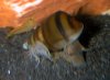 DSCN6153.JPG