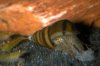 DSCN6151.JPG
