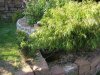 IMG_1210.jpg