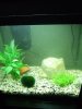 2008_072830_l_becken0043.JPG