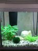 2008_072830_l_becken0046.JPG