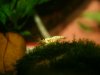 k-IMG_8307.JPG