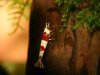 k-IMG_8341.JPG