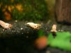 k-IMG_8346.JPG
