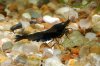 DSC_1350-1.JPG