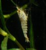 DSC_1351.JPG