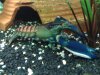 05082008128.jpg