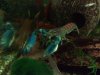 05082008123.jpg