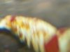 100_0808.jpg