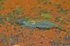 IMG_1445.CR2.jpg
