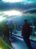 DSCF0097.JPG