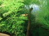 DSC00834.jpg