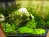 Aquarium.JPG