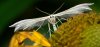 P3810270cr.jpg