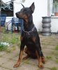 DSC00129.jpg