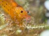 Bild 4.jpg