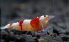 _MG_6749.jpg