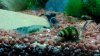 IMG-20160329-WA0007.jpeg
