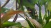 20160411_165618.jpg