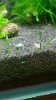 20160414_215531-600x1067.jpg
