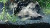 _20160503_194247.JPG