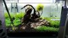 20160505_100419.jpg