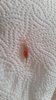 20160509_070206.jpg