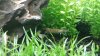 20160509_071850.jpg