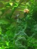 20160422_163615.jpg