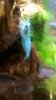WP_20160523_13_45_53_Pro.jpg